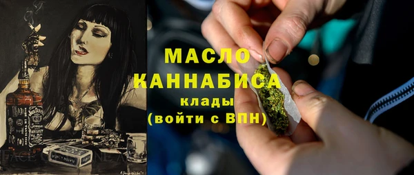 индика Верхний Тагил