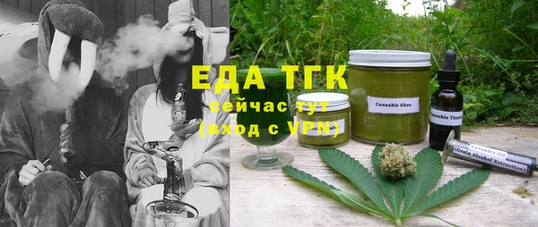 индика Верхний Тагил