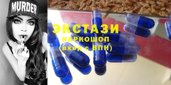индика Верхний Тагил