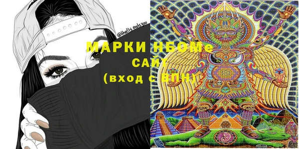 индика Верхний Тагил