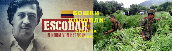индика Верхний Тагил