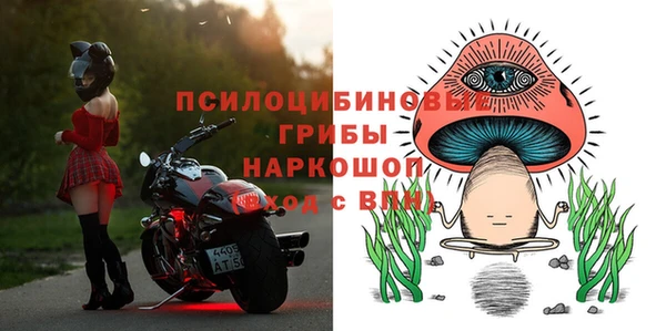 ALPHA PVP Верея
