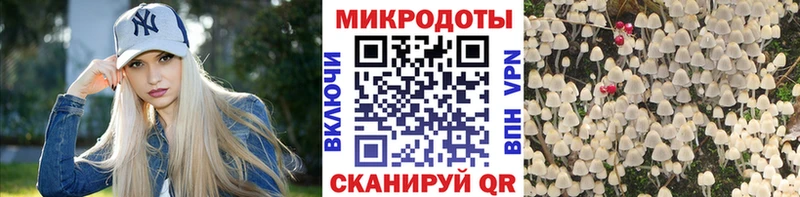 Галлюциногенные грибы Psilocybe сайты даркнета наркотические препараты Новохопёрск